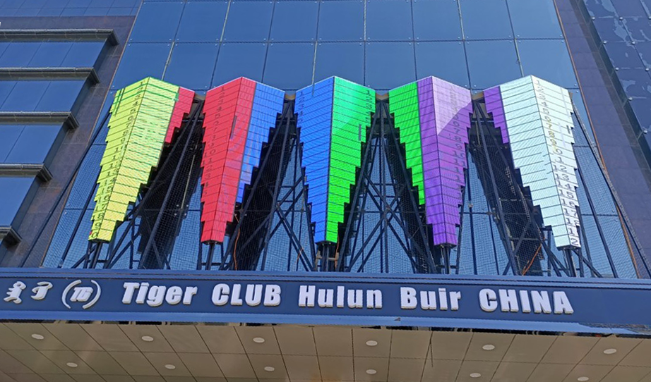 ���ɹ�ĳ�ưɻ�����