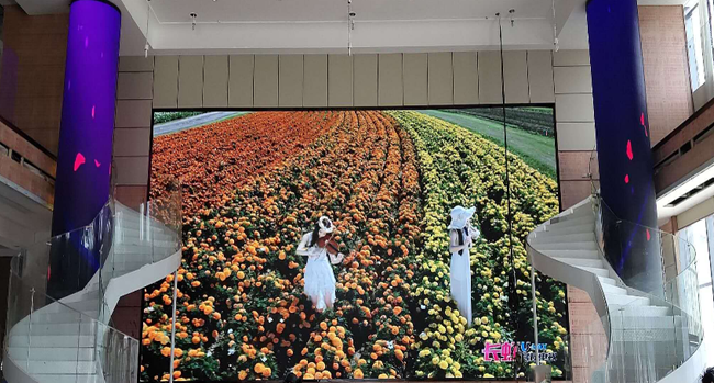 ����ĳ�ù�����