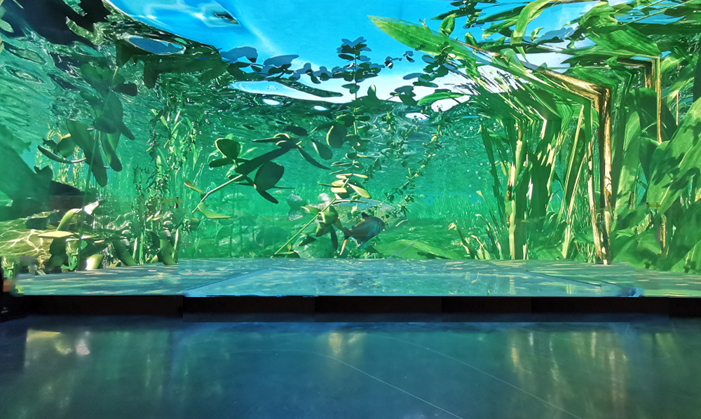 1277�Ǽʵ�����Ϸ����