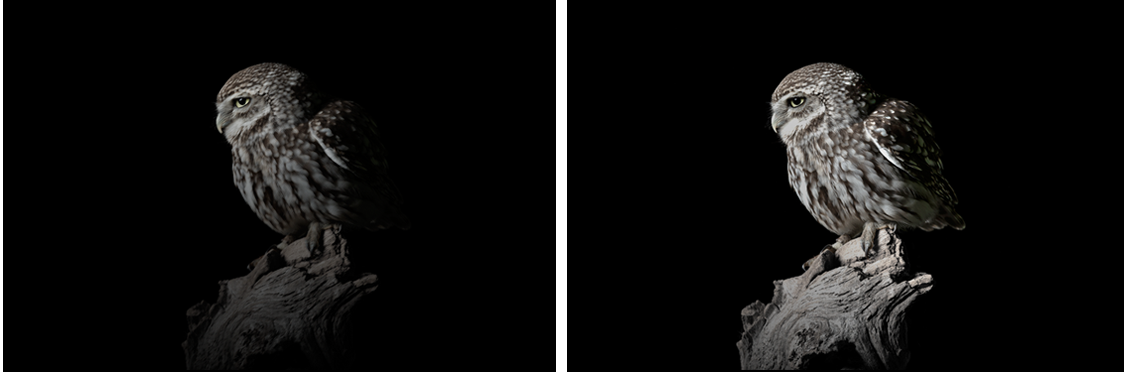 1277�Ǽʵ�����Ϸ����