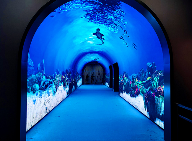 ����ʡ���ʲ����