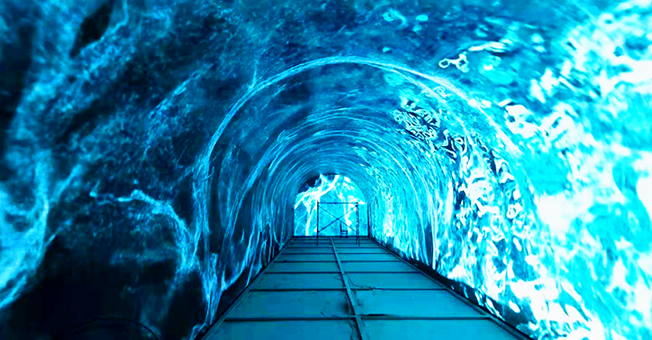 ������Ķ�ɻ�԰