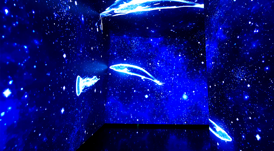 �㽭̨����ˮ��