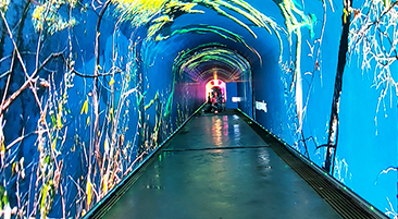 ����ʮ���Ͻ�ų�