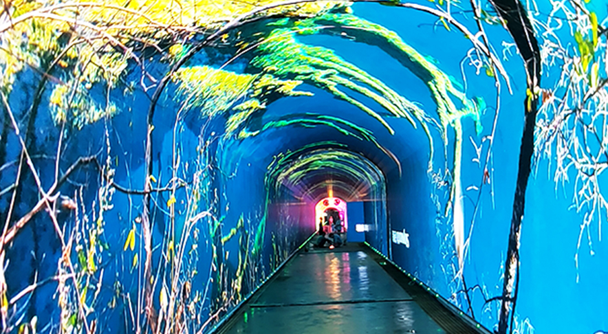 ����ʮ���Ͻ�ų�