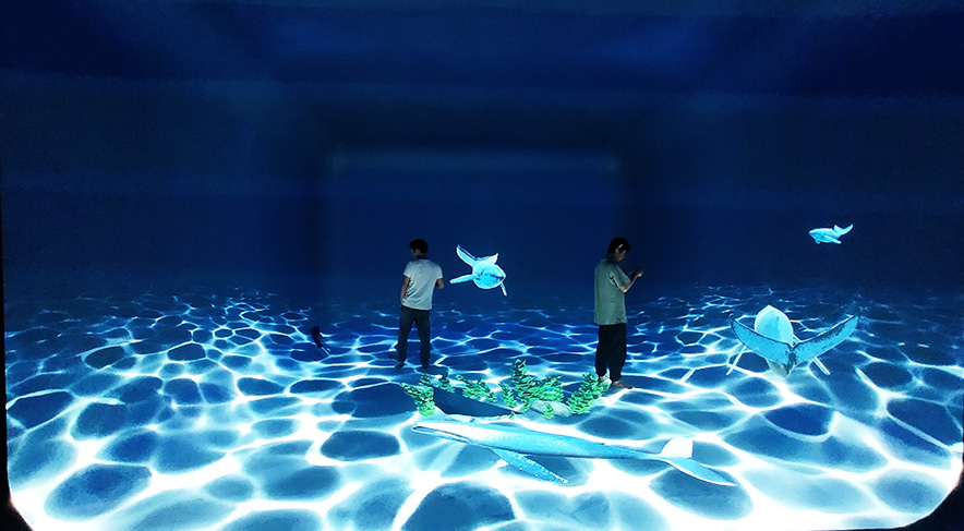 �βʳ��������ڽ�������