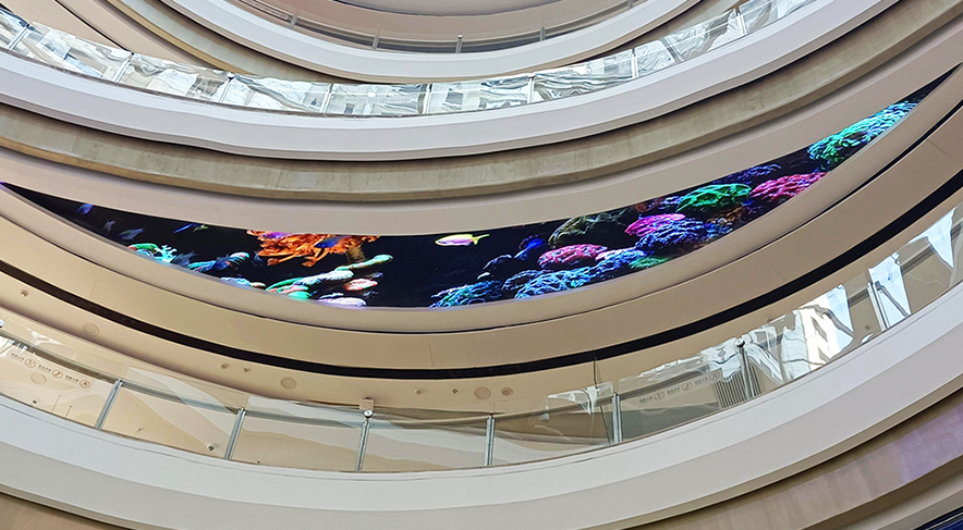 ����ʡ��������������a�_