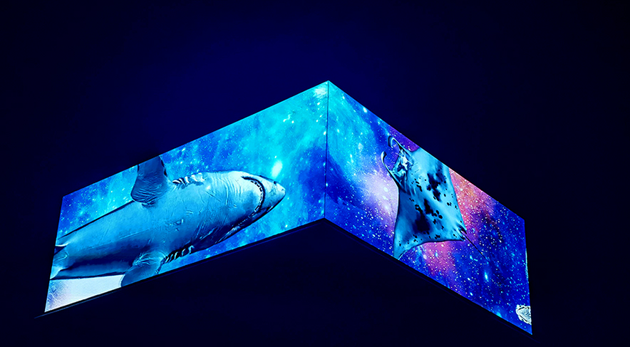 ����ʡ�����к���1978������