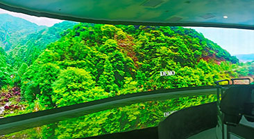 �㶫��ԶʯĮ��԰��������