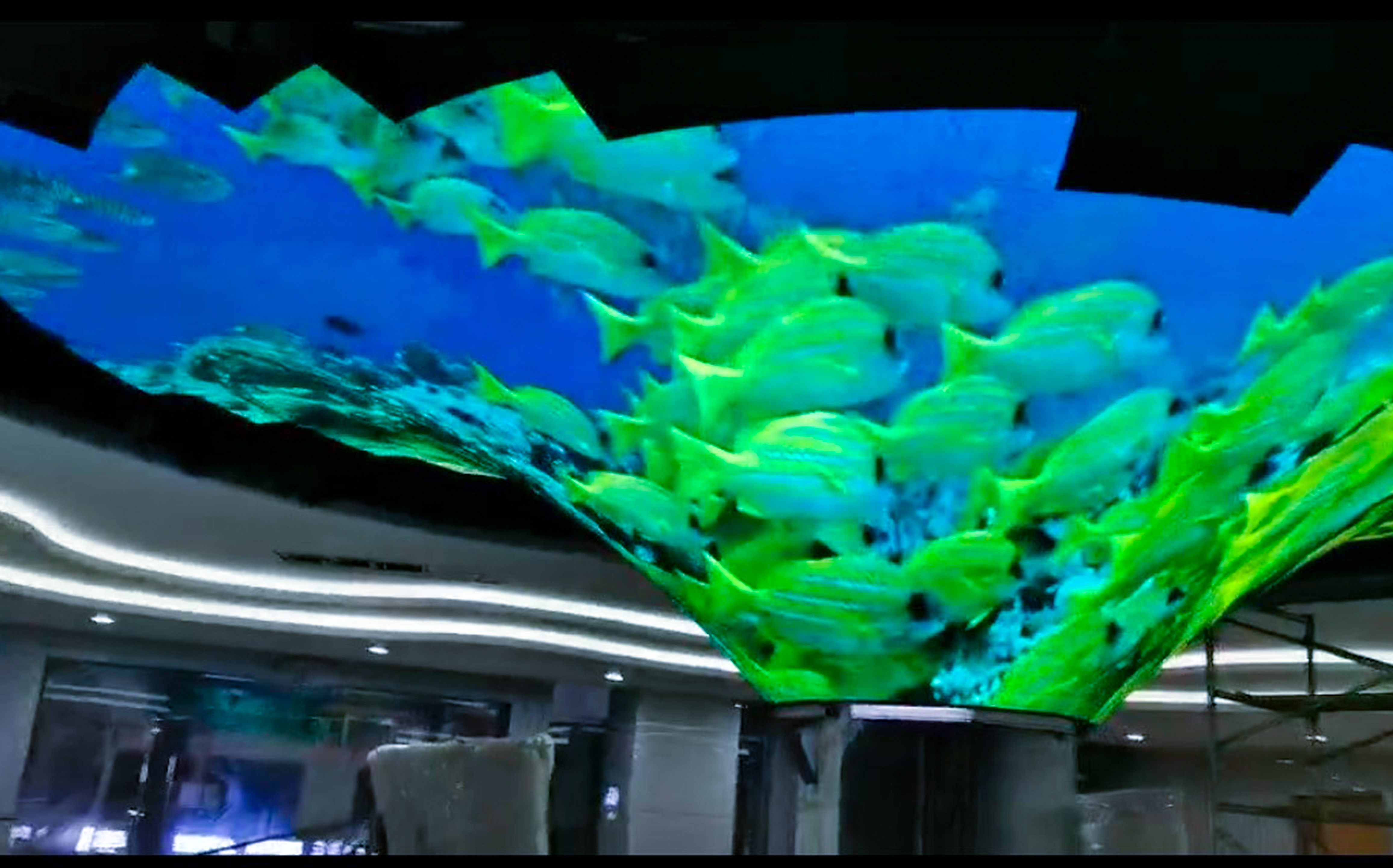 1277�Ǽʵ�����Ϸ����