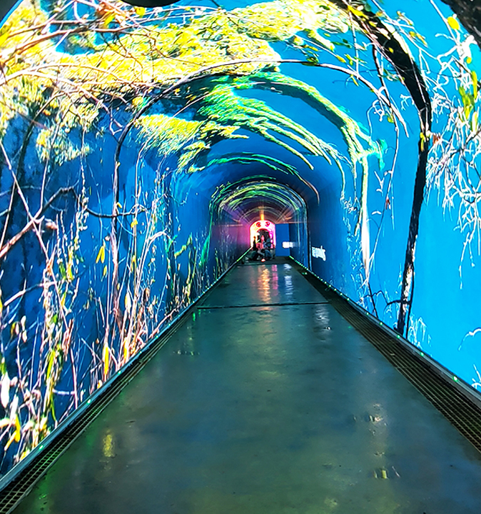 1277�Ǽʵ�����Ϸ����