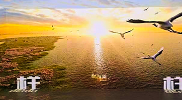 ����ʡ����չ��������ʽչ��