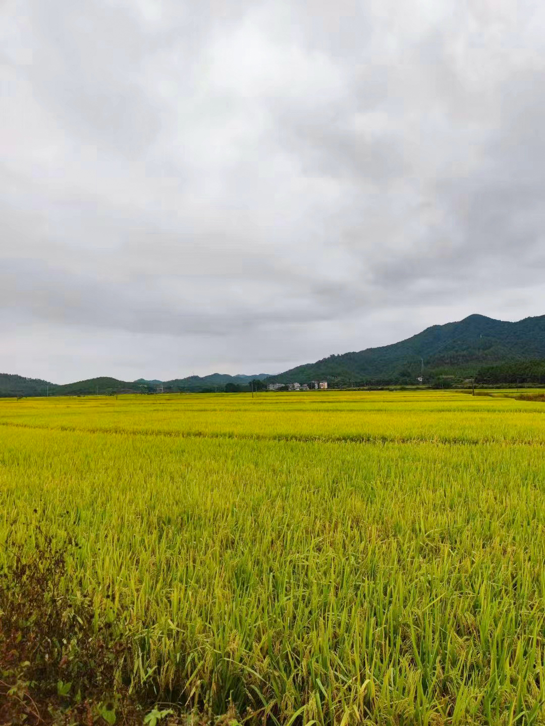 1277星际电子游戏官网