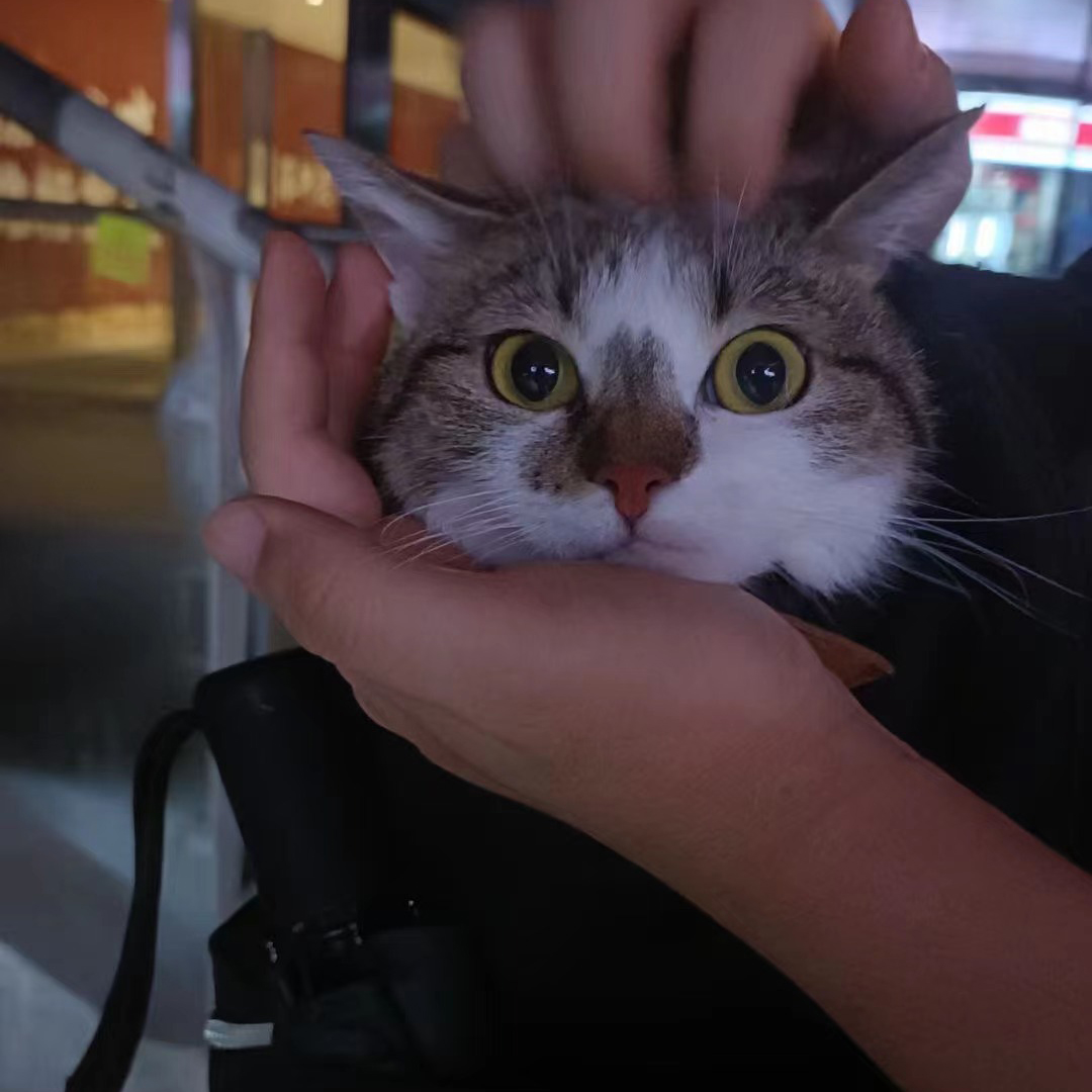 1277星际电子游戏官网