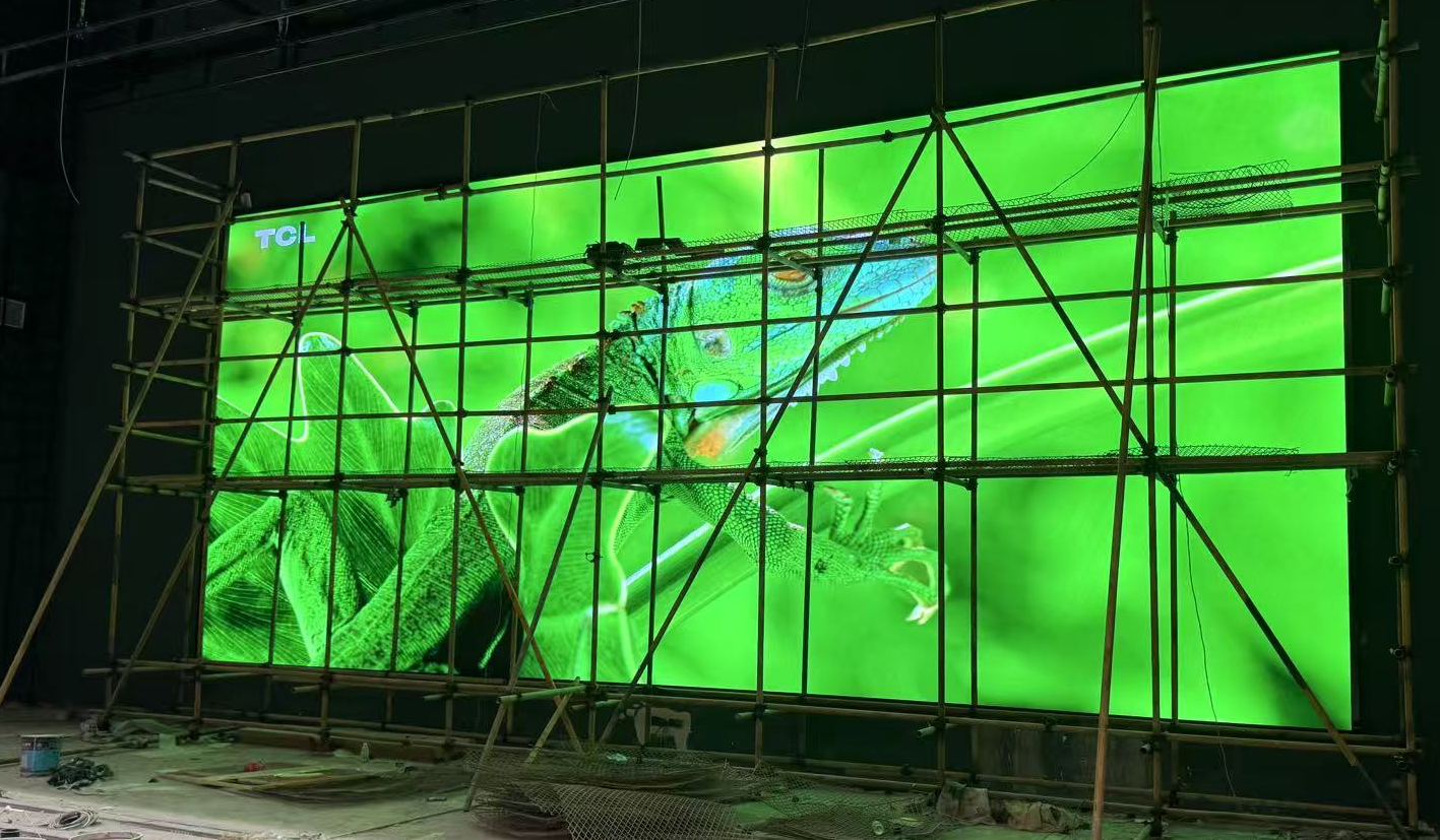 �Ϻ���ͨ��ѧҽѧԺҽѧ�����