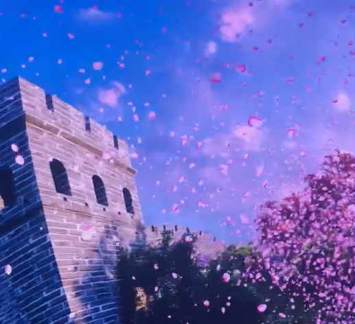 ����ɽ���ڸ���ӰԺ