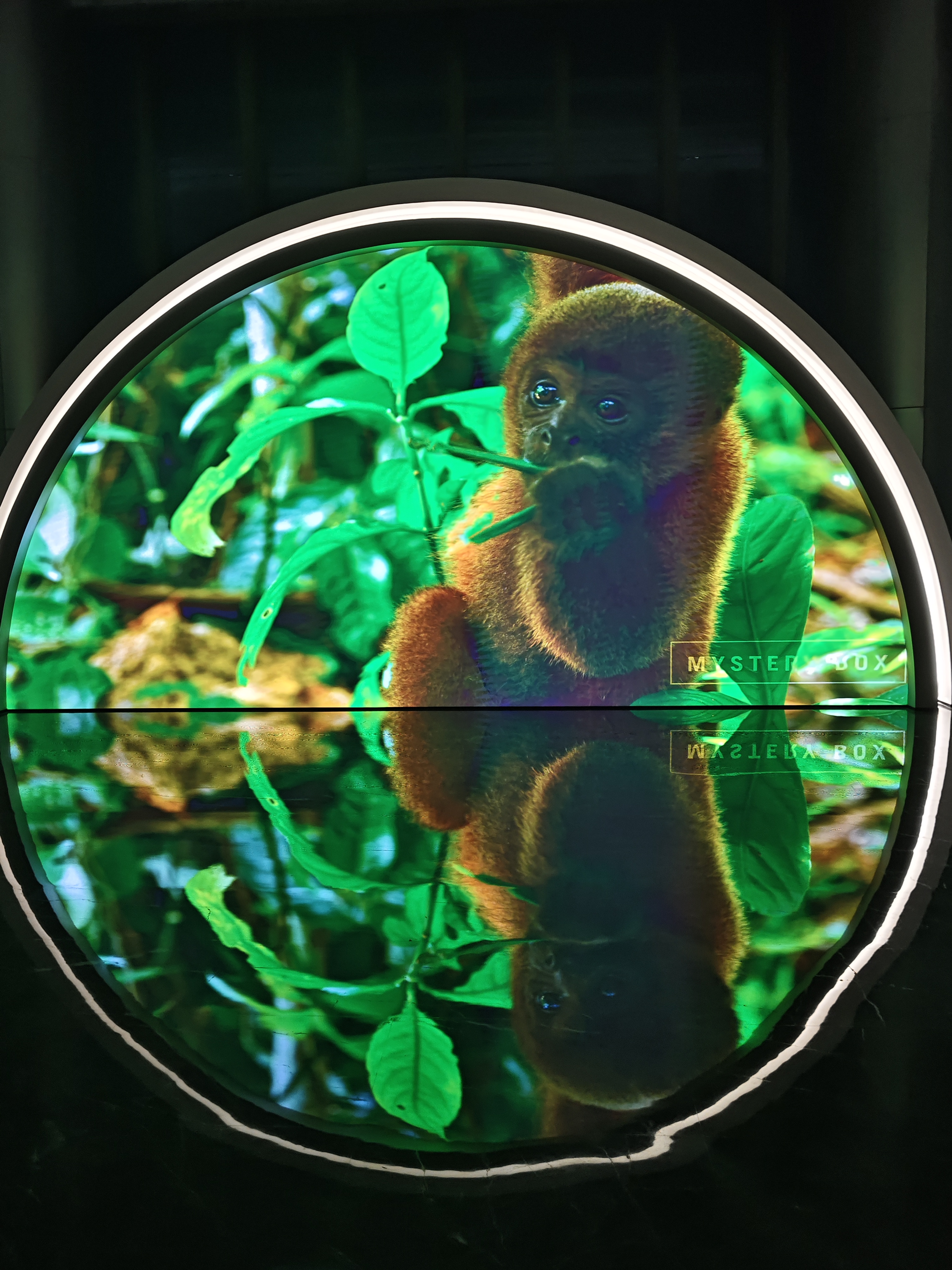 ��ɽ����Բ���δ���