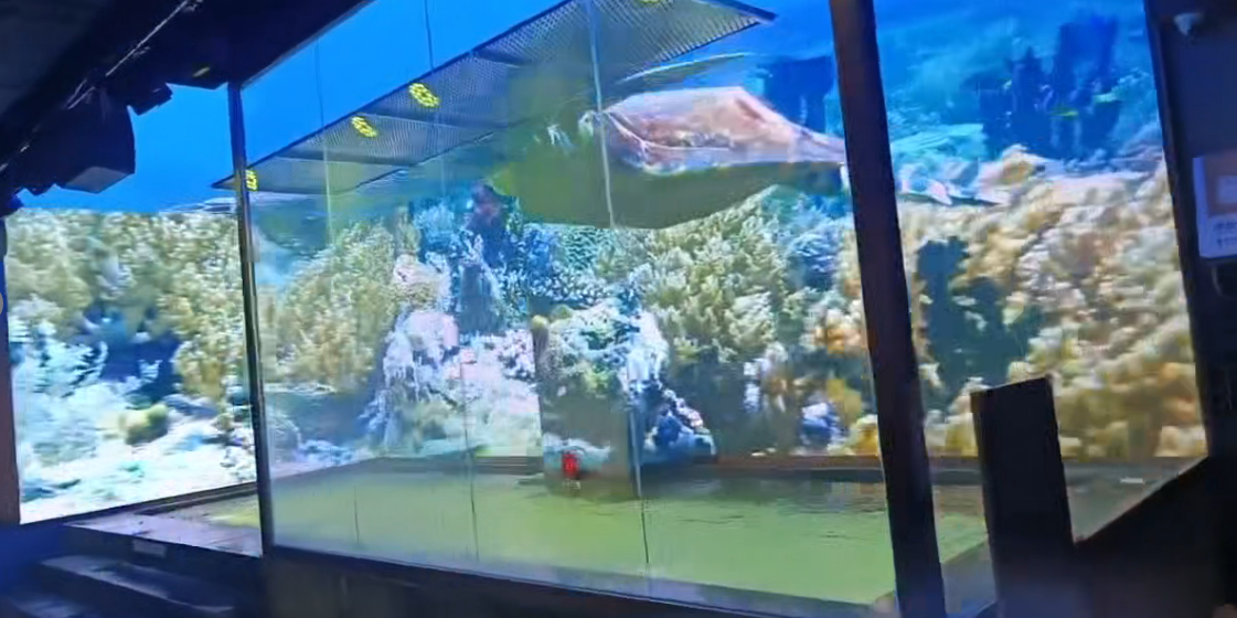 ������Ȫ����3D��