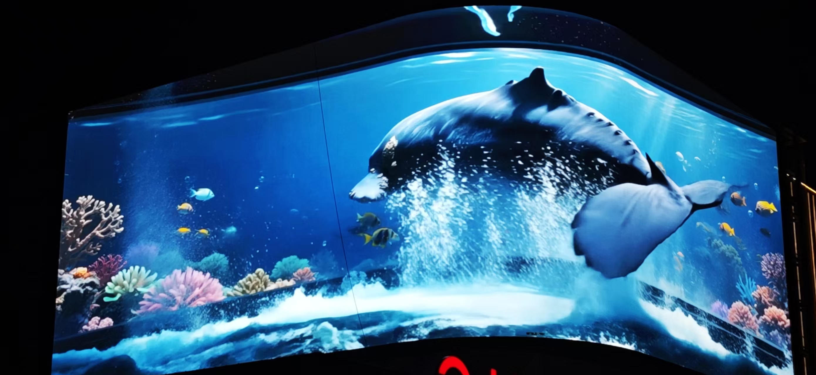 �㽭����������������Ǹۻ�