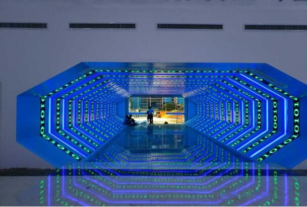 ������֦��Ŀ